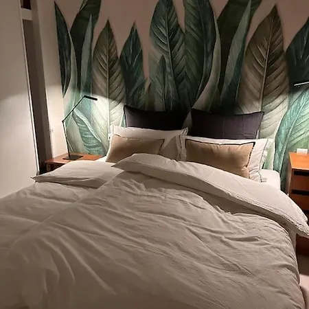 Casa Gran Vida 펜션 알카우씬